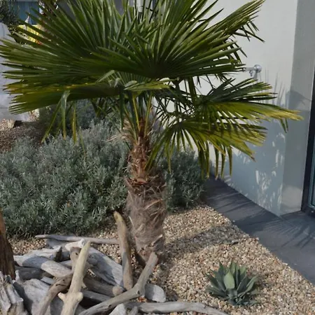 Palm Garden 1 *