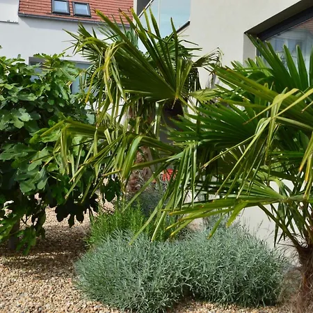 Palm Garden 1 Mikulov