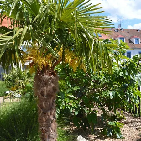 Palm Garden 1 公寓