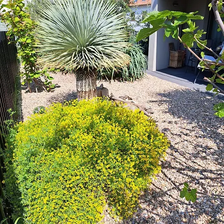 Palm Garden 1 公寓
