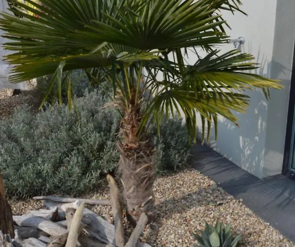 Palm Garden 1 *
