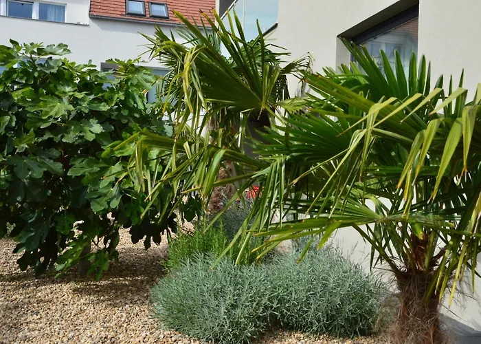 Palm Garden 1 Mikulov