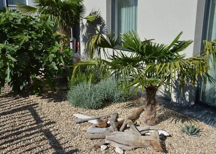 Palm Garden 1