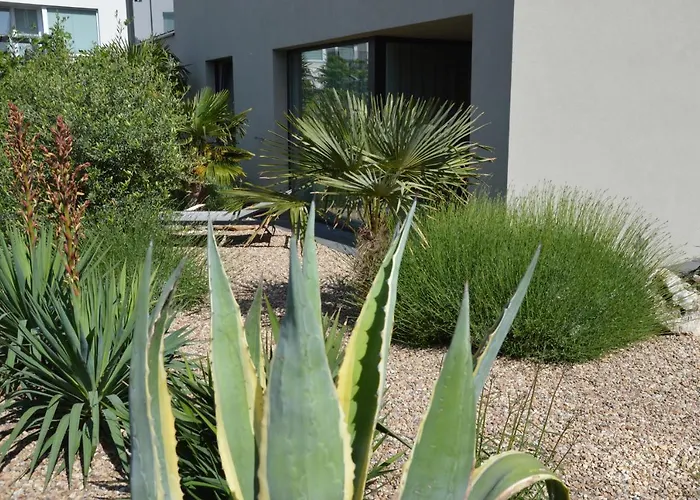 Palm Garden 1 Mikulov