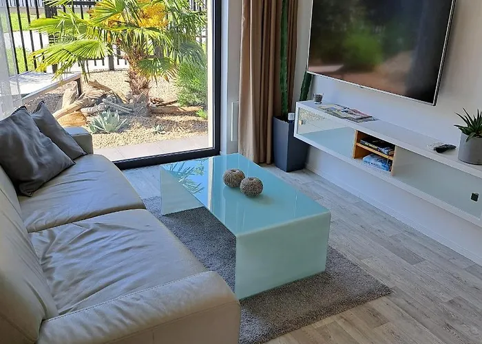 Palm Garden 1